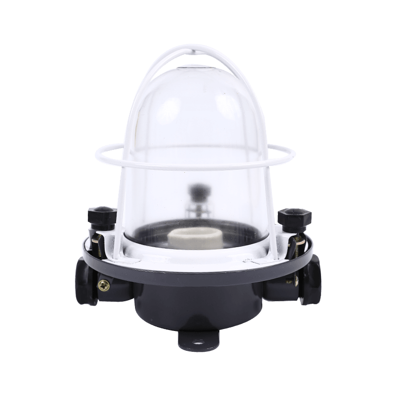 Lámpara colgante incandescente de acero para cabina marina-CCD1-2