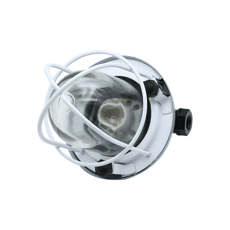 Lámpara colgante incandescente marina de acero IP55 -CCD7